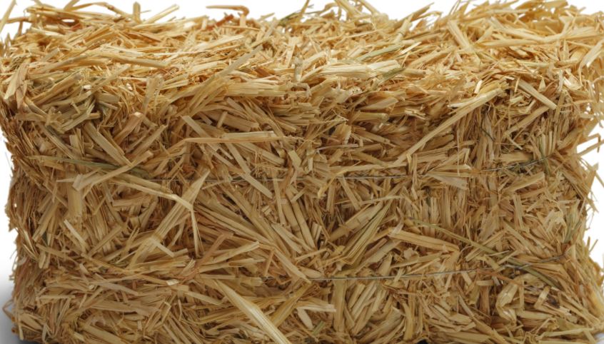 Organic straw Bale